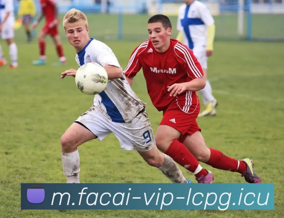 App Interface Preview